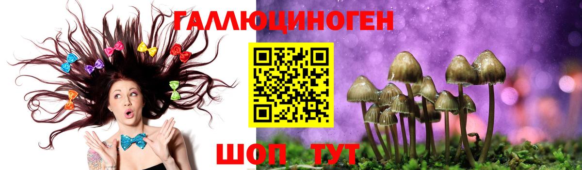 Псилоцибиновые грибы GOLDEN TEACHER Ялта